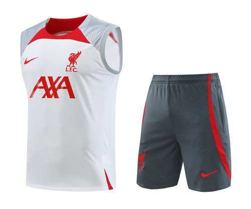 a poco prezzo vest liverpool 2023-2024 bianco grigio uomo