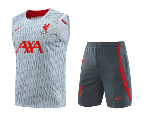 a poco prezzo vest liverpool 2023-2024 grigio uomo