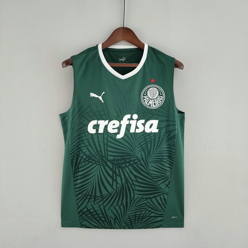 thailandia prima maglia palmeiras 2022-2023 uomo