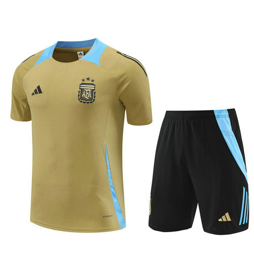 training maglie calcio argentina completo 2024-2025 oro uomo